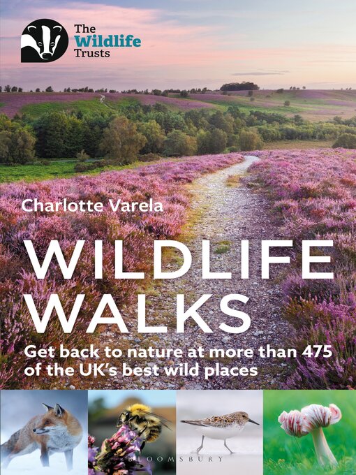 Title details for Wildlife Walks by Charlotte Varela - Available